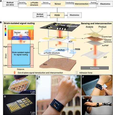 Electrolytic Sensor Method trading|electrolytic sensors review.